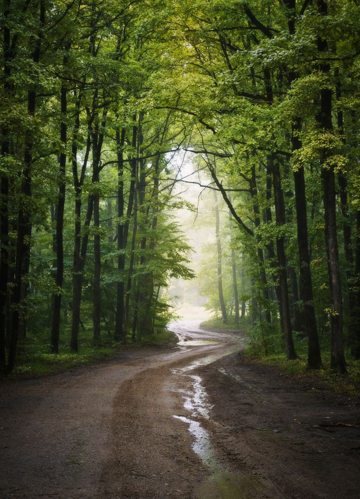 Photograph by Антон Литвин