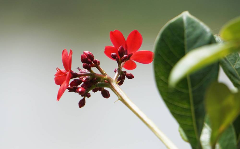 Photograph by Prabhu Viswanathan