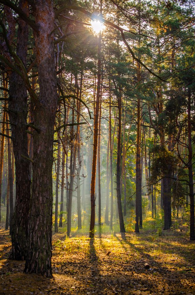 Photograph by Евгений Каримов