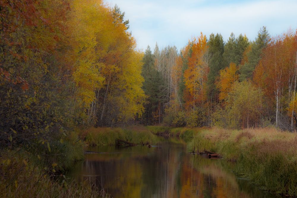 Осень на Нерпалке