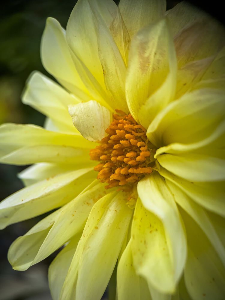 Photograph by Сергей Дергачев