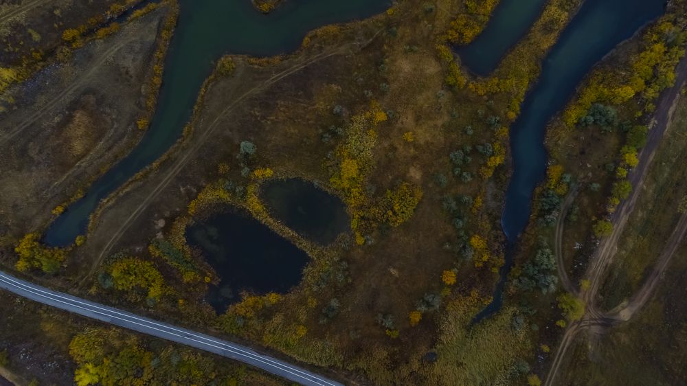 Фотография автора Вячеслав Бакаев