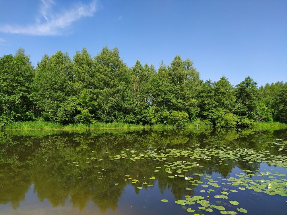 Photograph by Лидия Дорошина