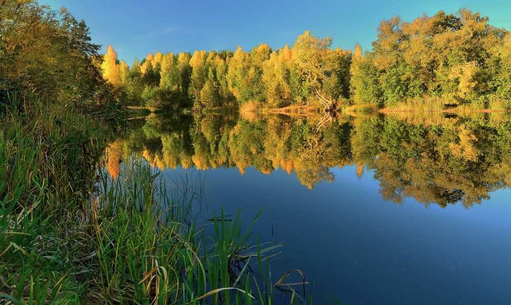 Золото осени