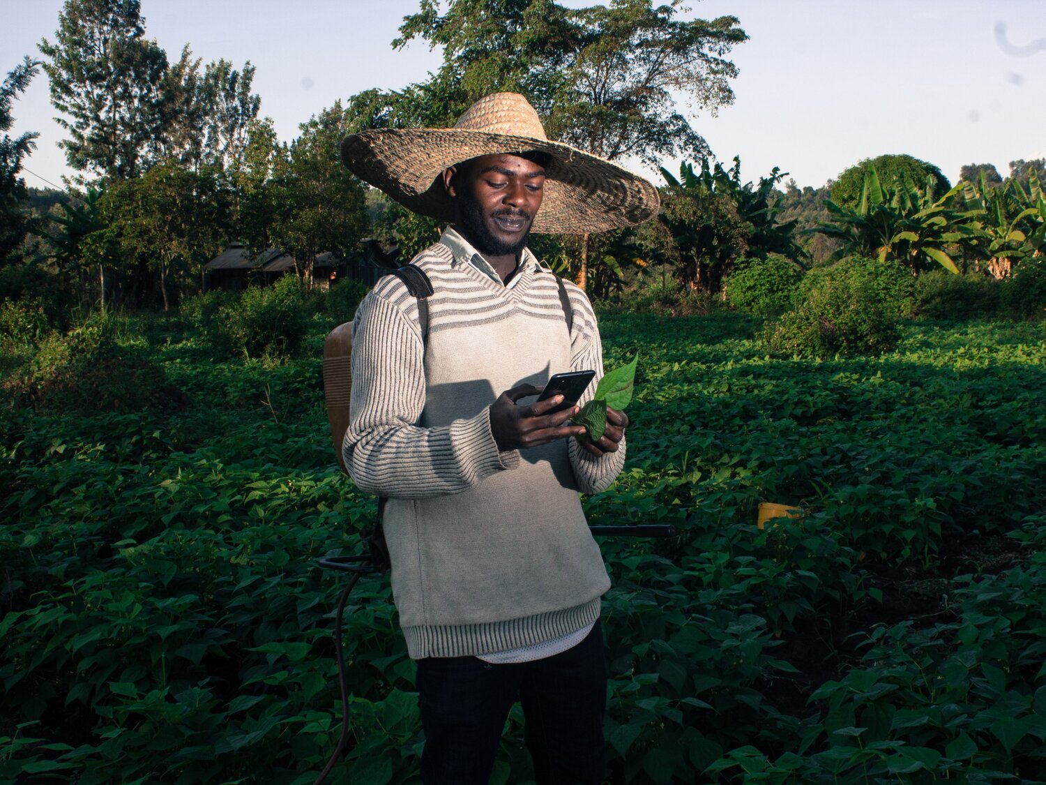 Youth and Agriculture