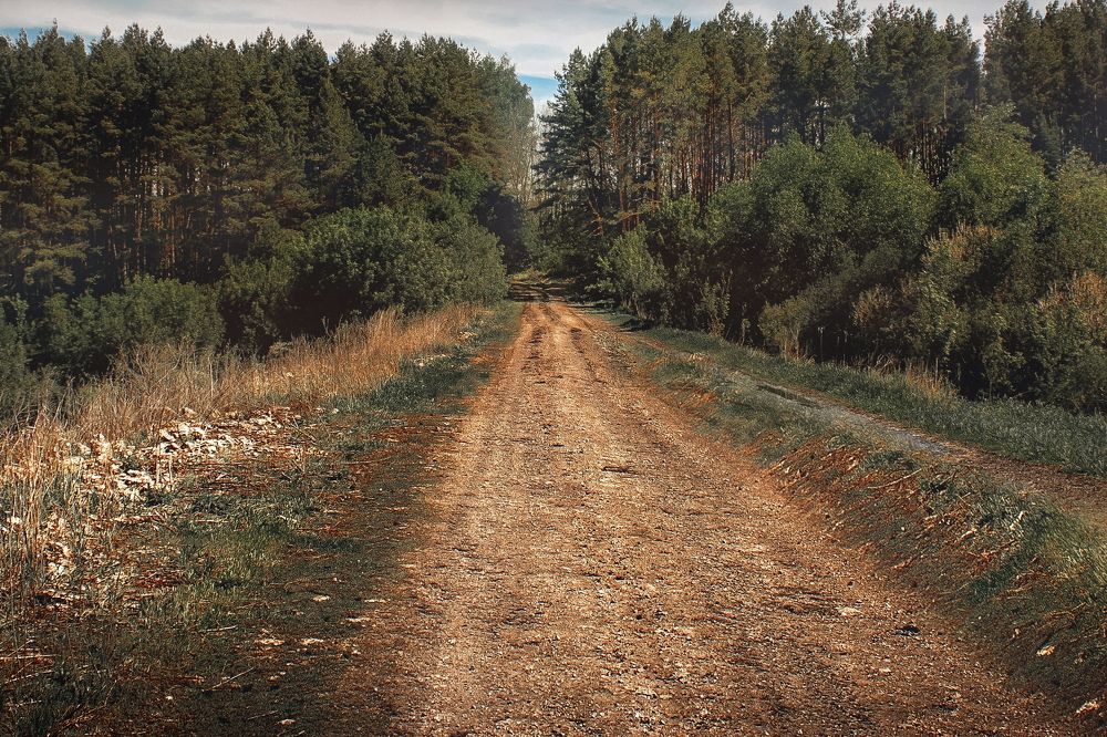 Photograph by Чурляев Максим