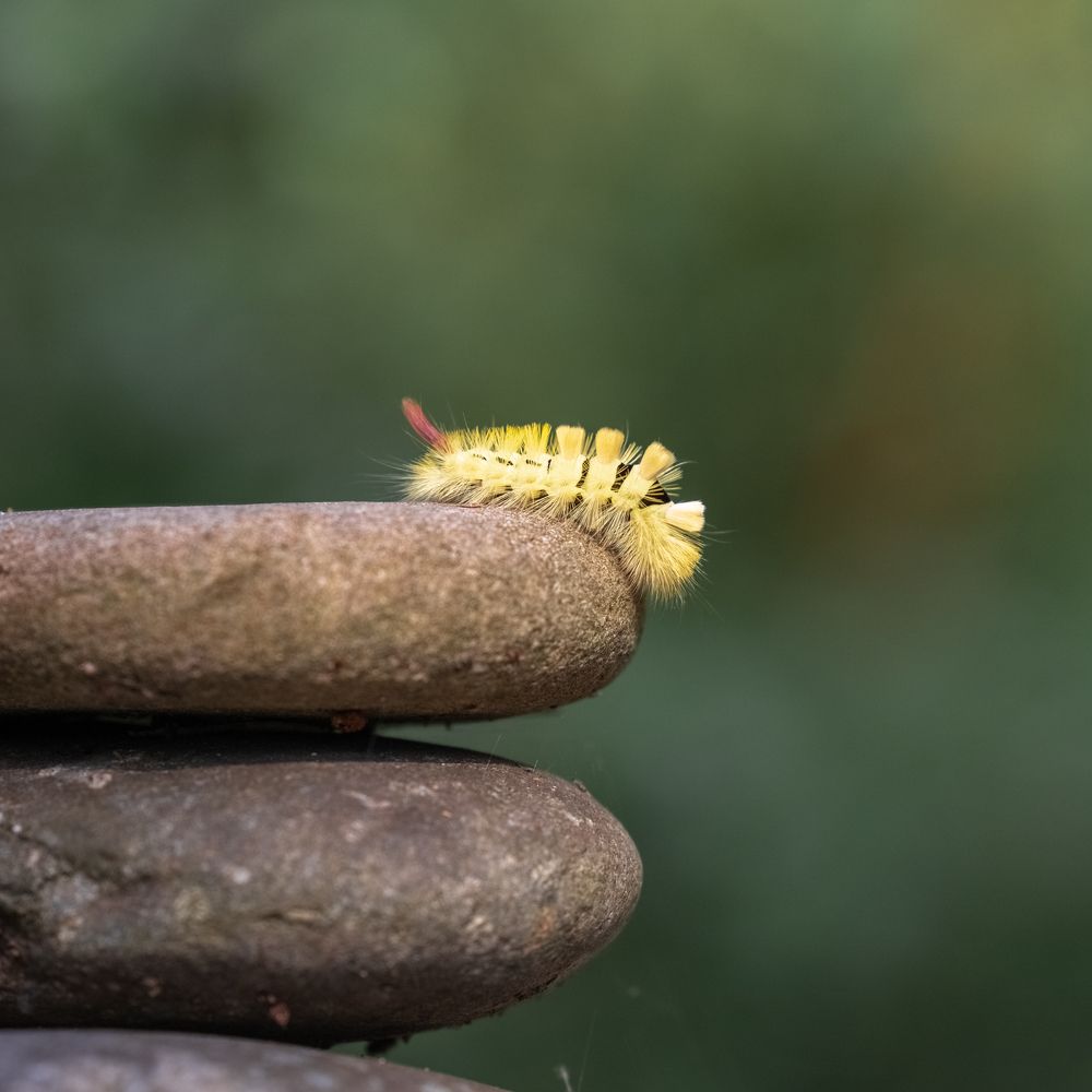 Photograph by Татьяна Тихомирова