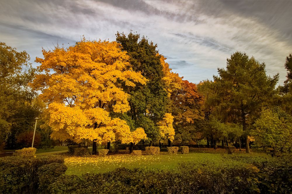 Ангарский парк