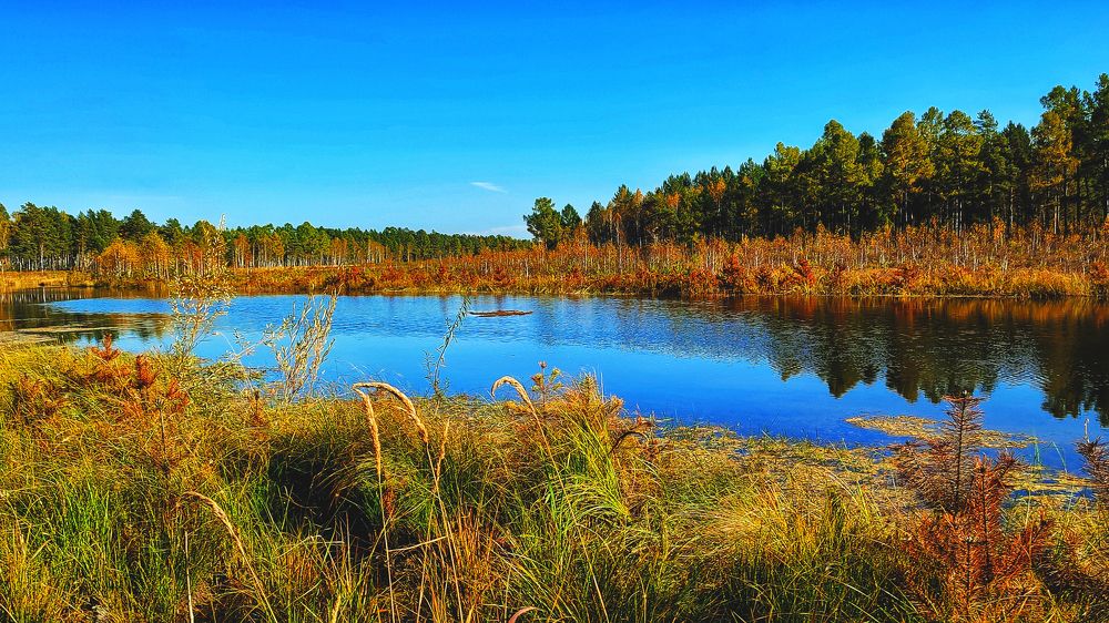 Photograph by Анна Киселёва