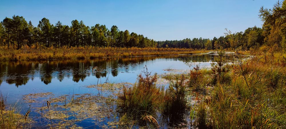 Photograph by Анна Киселёва