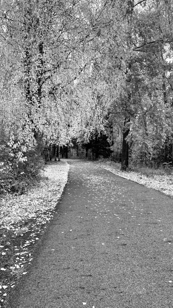 Photograph by Светлана Хохлова