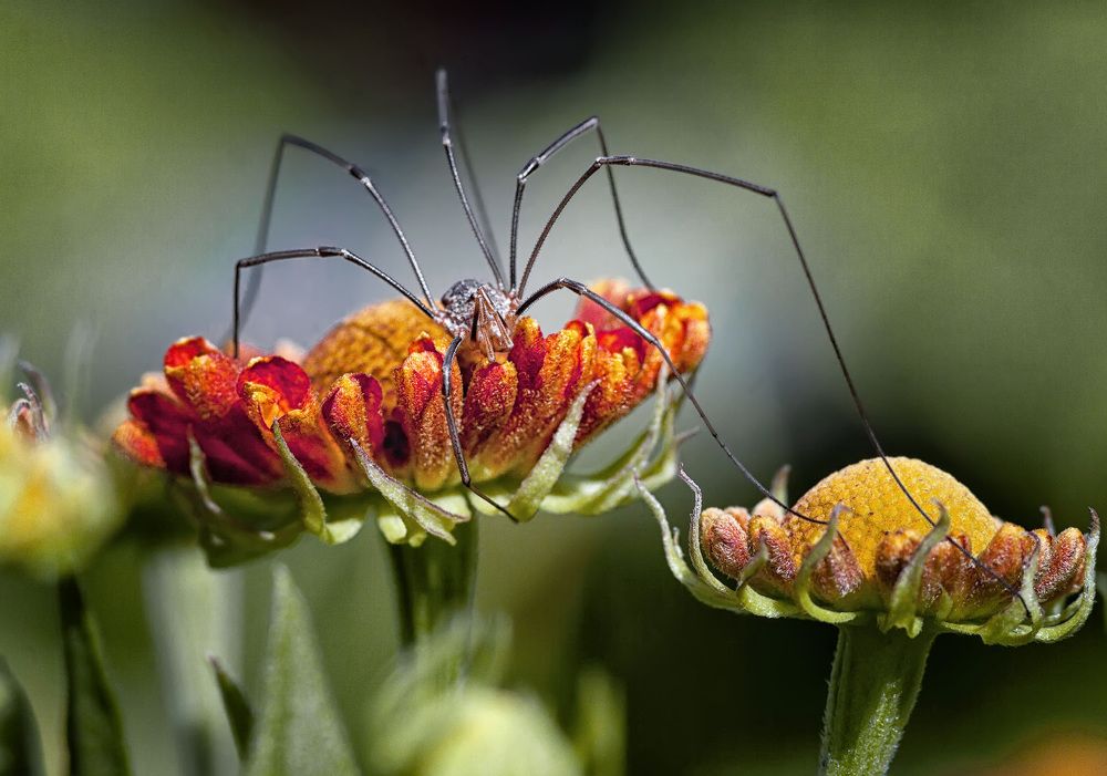 Photograph by Владимир Архипов