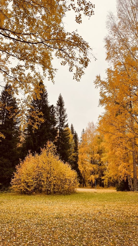 Photograph by Светлана Хохлова