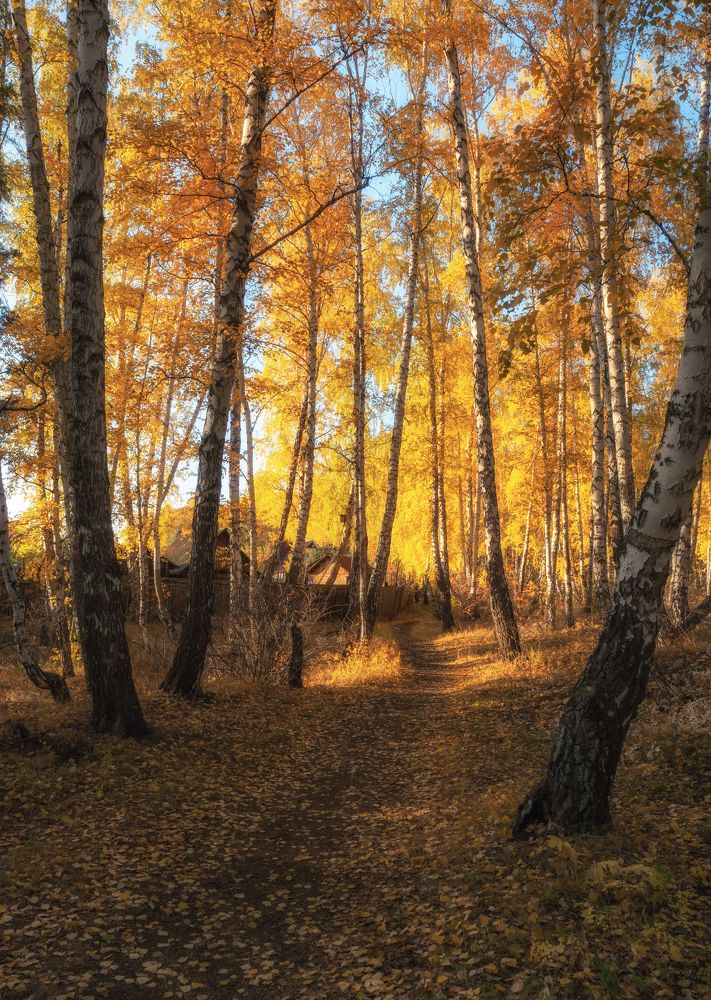 Photograph by Евгений Гецев