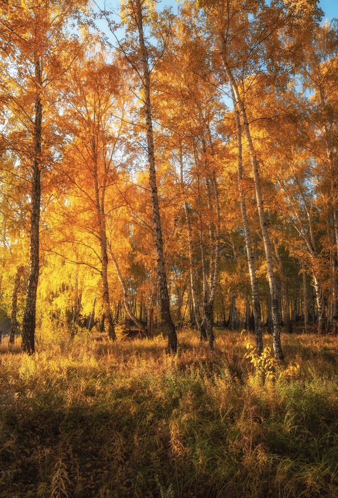 Photograph by Евгений Гецев