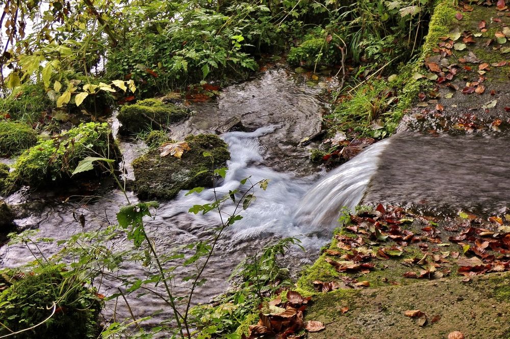 Photograph by backareva irina