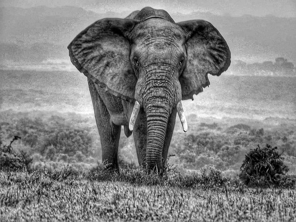 Photograph by Wilna Grobler