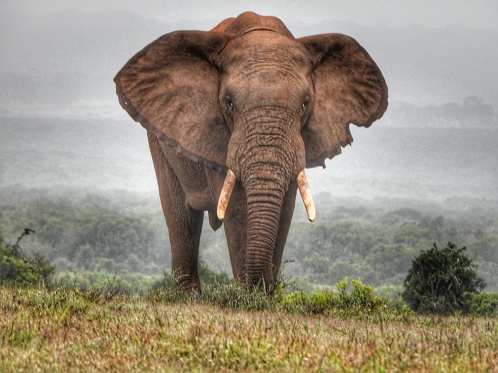 Photograph by Wilna Grobler