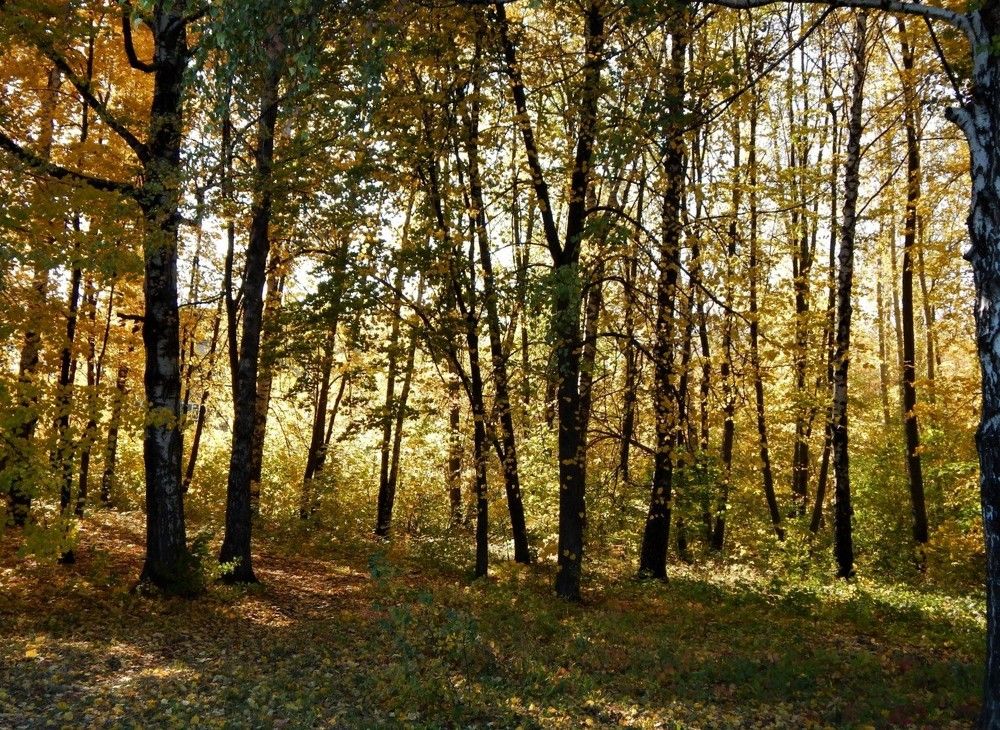 Photograph by Ирина Самойленко