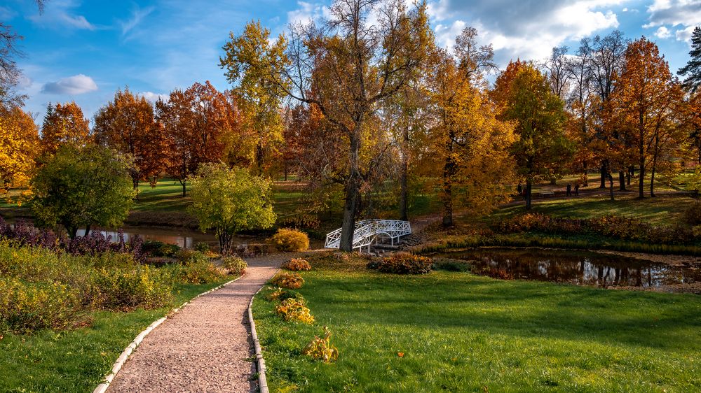 Фотография автора Андрей Васильев