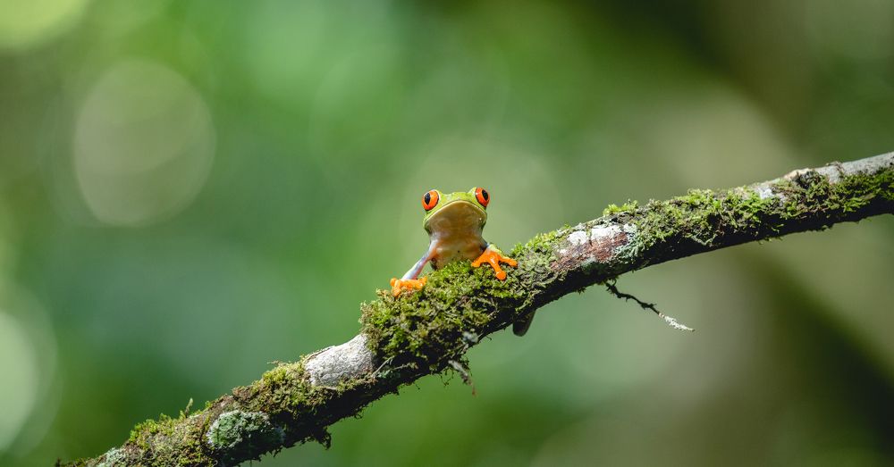 Photograph by Timur Korotkov