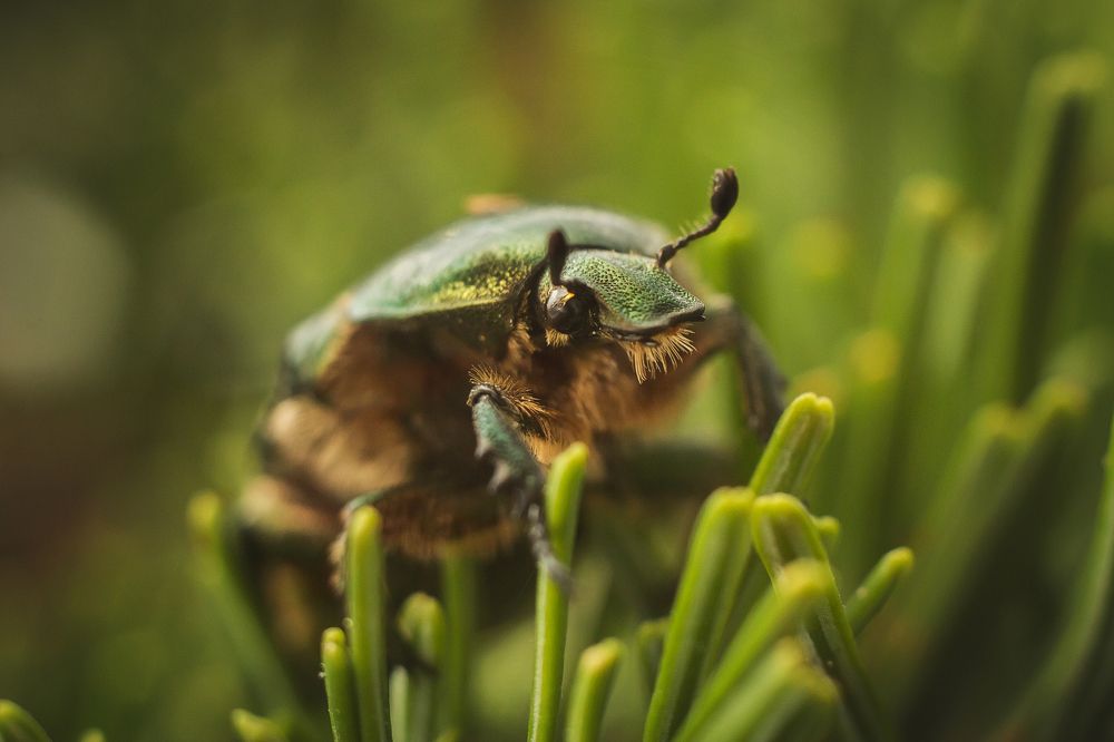 Photograph by Виктория Мамаева