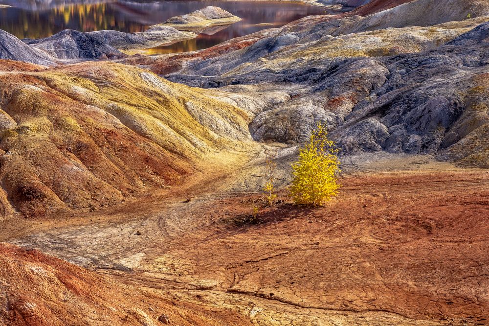 Photograph by Андрей Шарапов