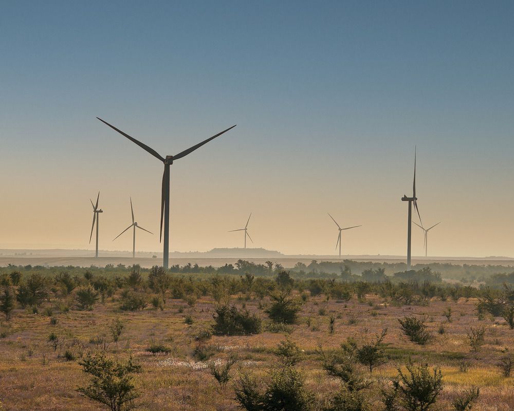 Photograph by Леонид Соснин