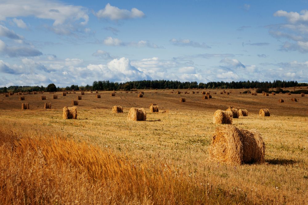 Photograph by Петрова Екатерина