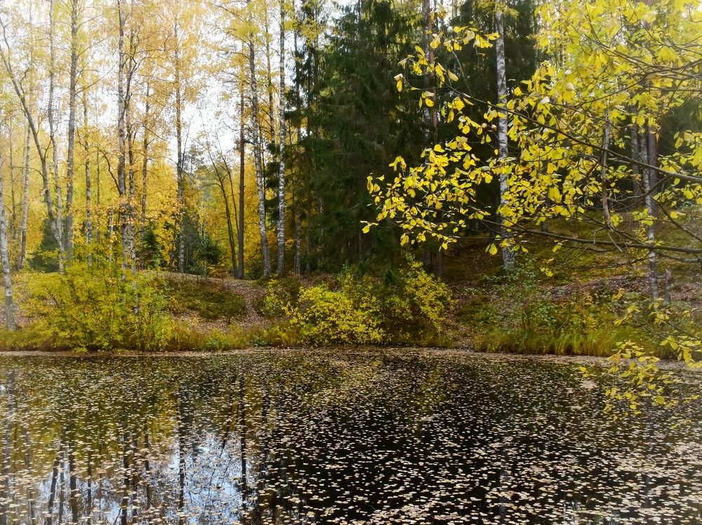 Photograph by Елена Павлова