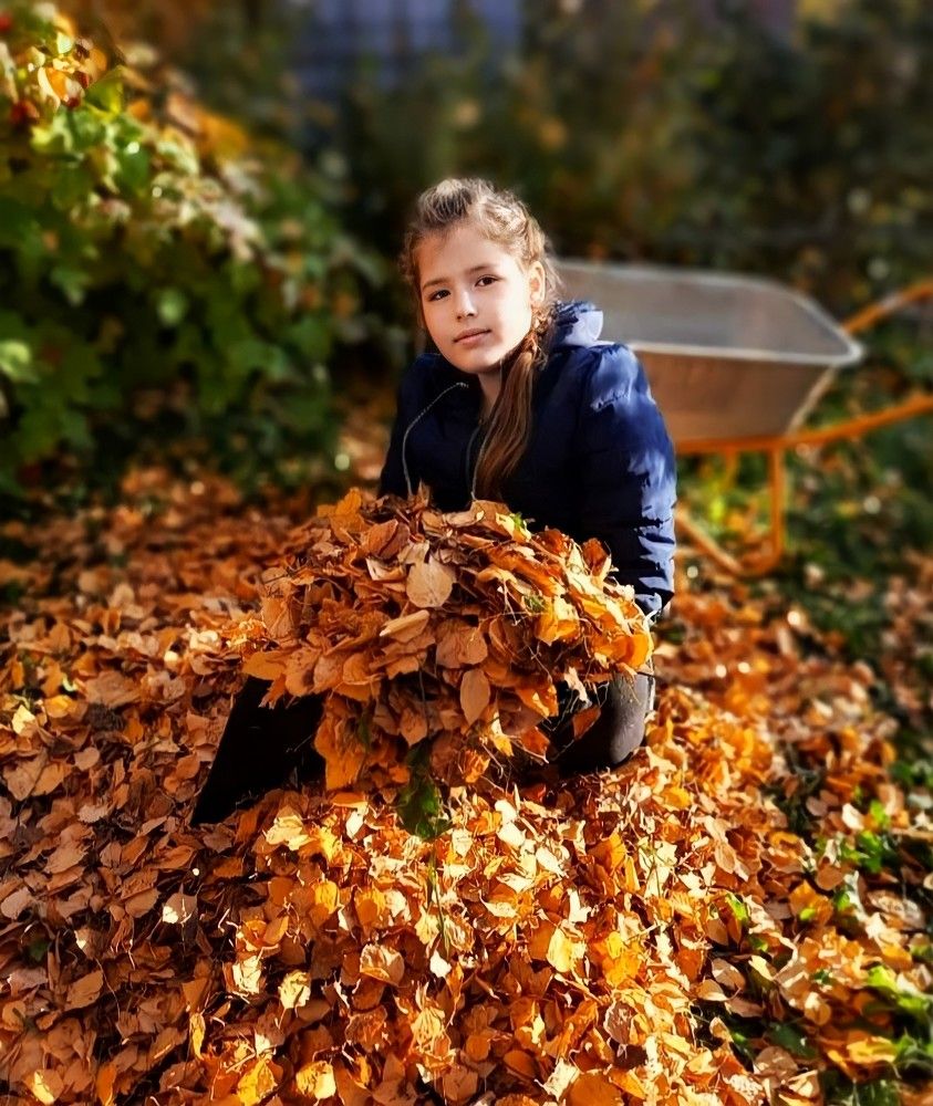 Photograph by Дина Чаица