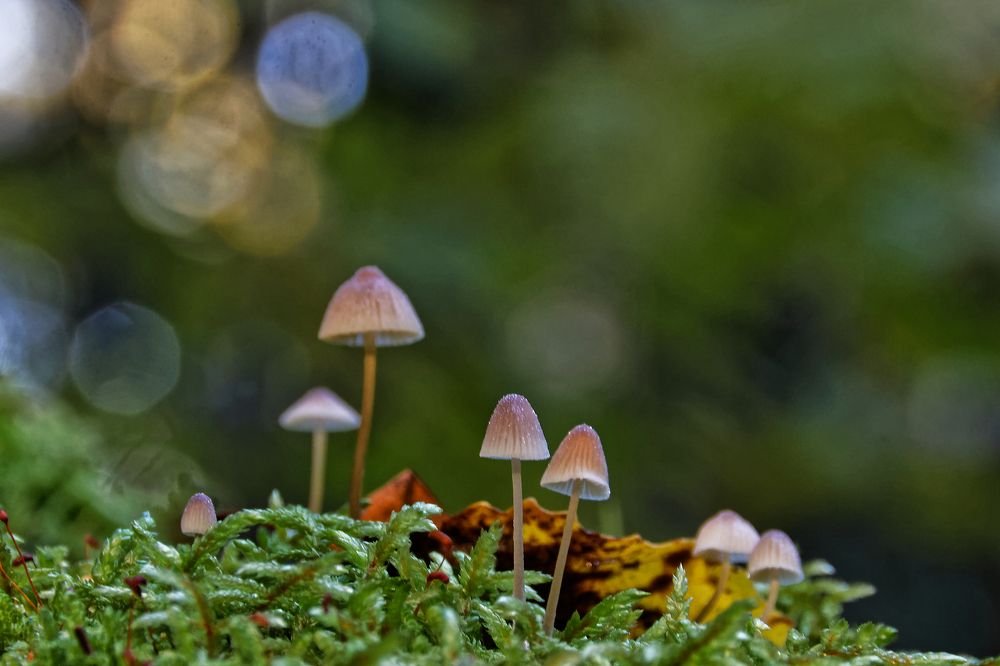 Photograph by Анатолий Калмыков