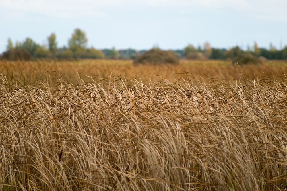 Фотография автора Денис Краснощеков