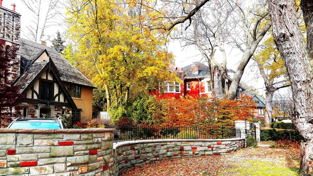 Photograph by Владимир Молостов