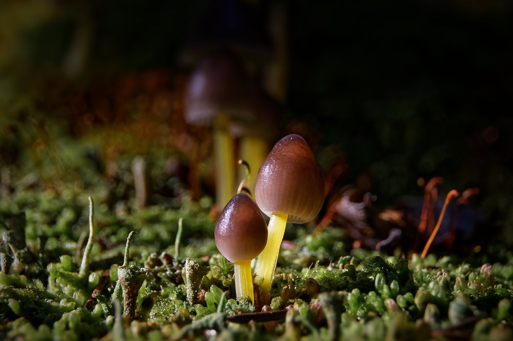 Photograph by Анатолий Калмыков