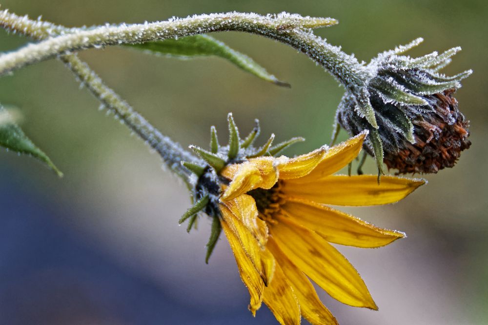 Photograph by Анатолий Калмыков