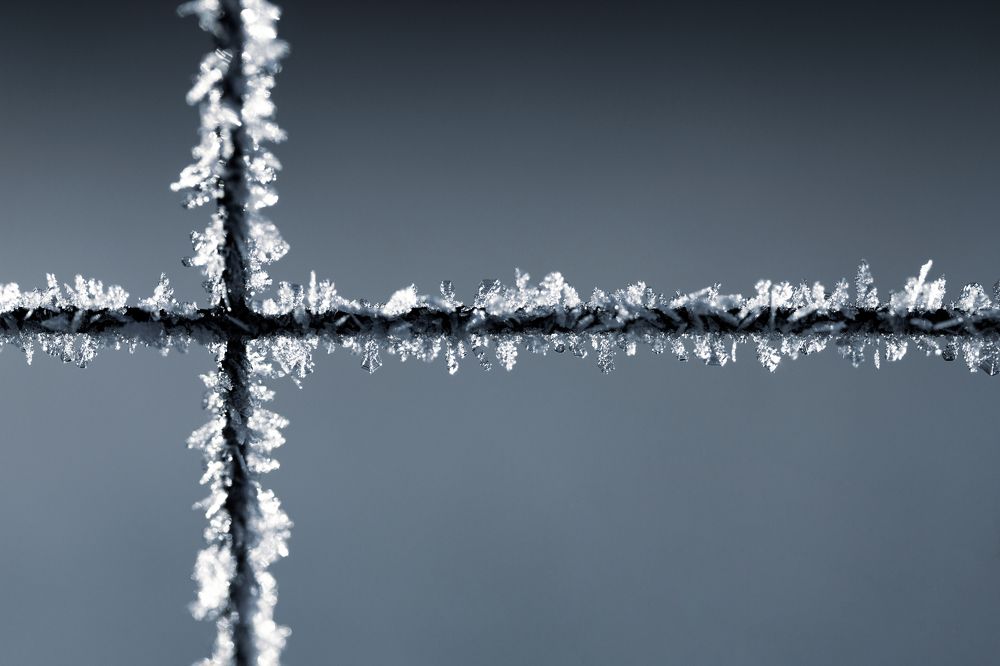 Photograph by Петрова Екатерина