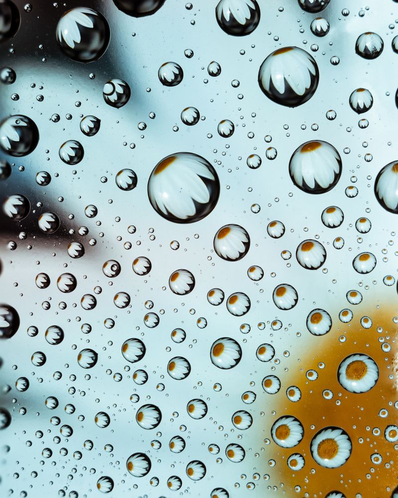 Photograph by Давид Галкин