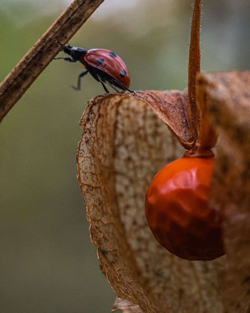 Photograph by Давид Галкин