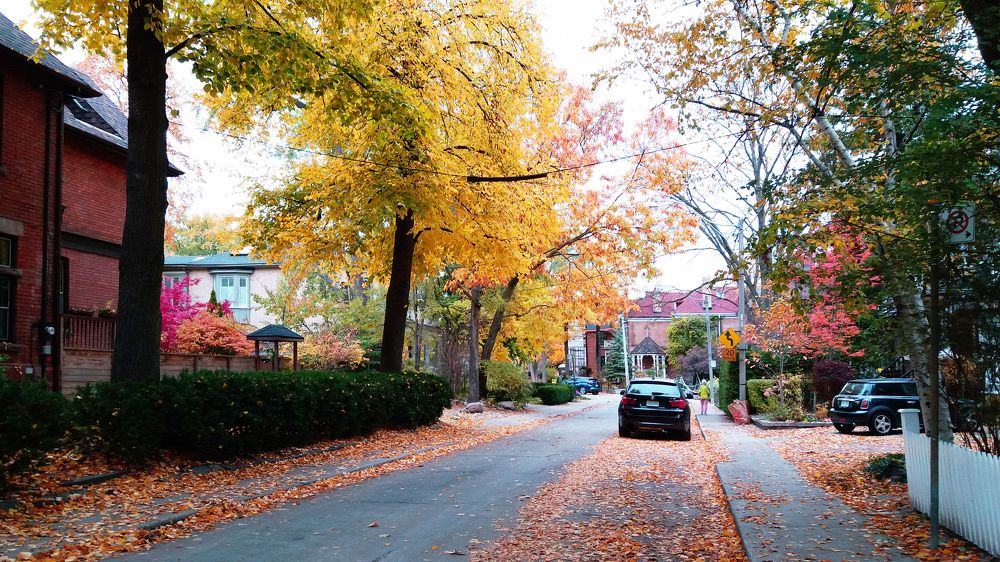 Photograph by Владимир Молостов