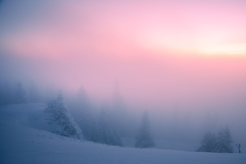 Photograph by Alexandru Handrache