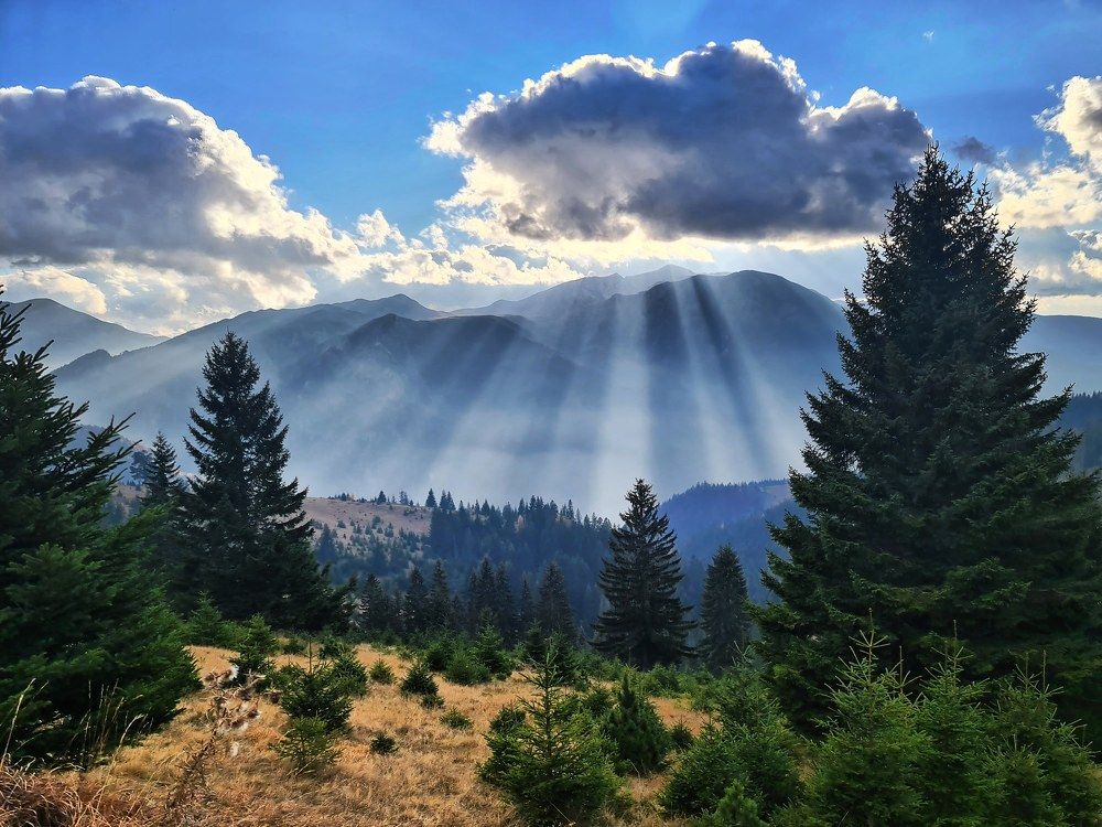 Photograph by Syzane Ramosaj