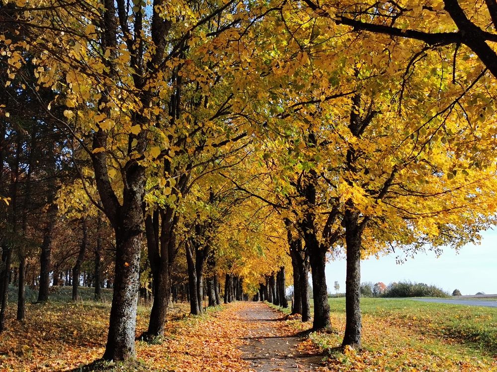 Photograph by Рутковская Жанна