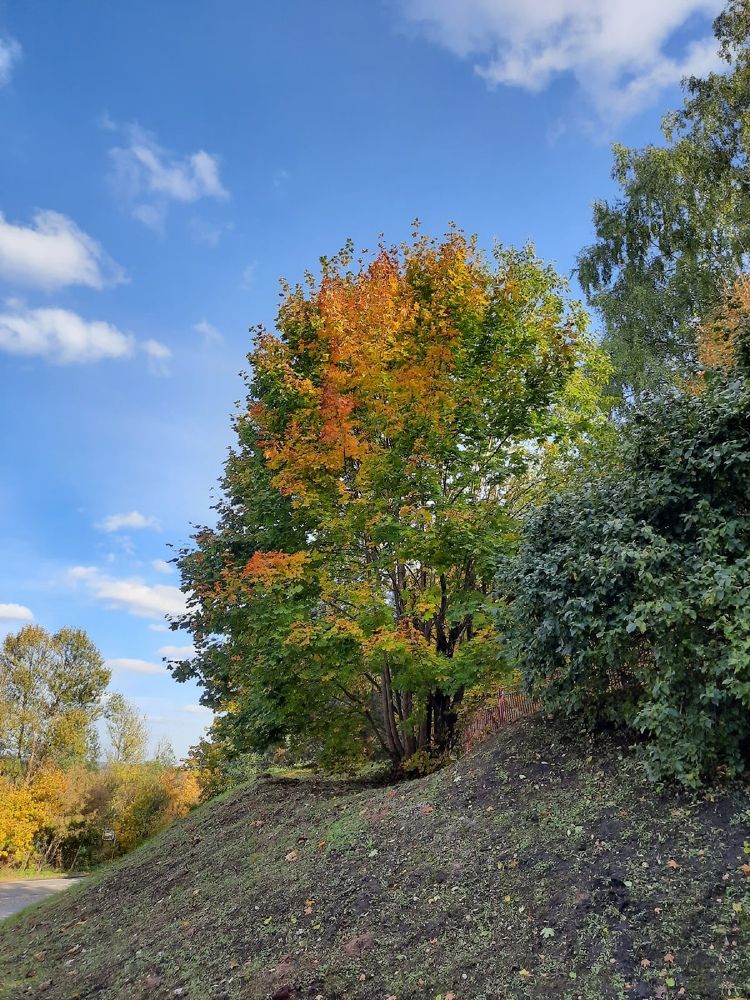 Photograph by Любовь Кочуганова