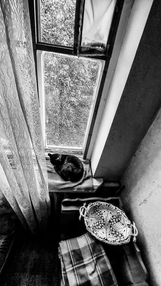 Photograph by Валентина Михайлова