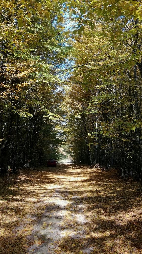 Photograph by Лилия