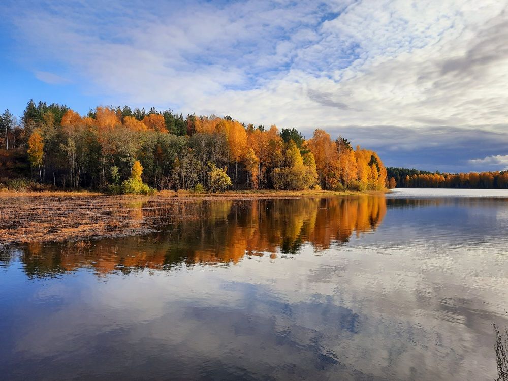 Photograph by Юлия