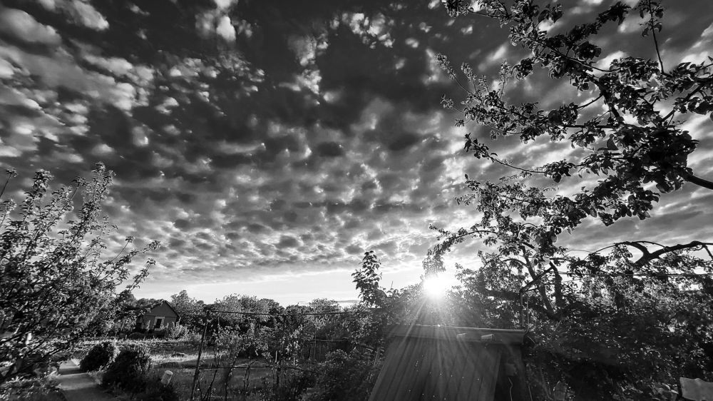 Photograph by Валентина Михайлова