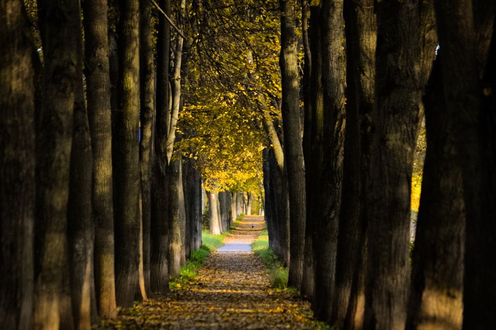 Photograph by Дарья Маркина