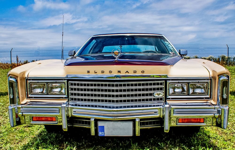 Photograph by Octavian Timosco